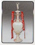 championship-trophy-1-panini-2009-10-coca-cola-championship-football-sticker-40060-p.jpg