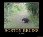 boston-bruins-boston-bruins-hockey-nhl-demotivational-poster-1239991595.jpg