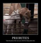 Priorites.jpg