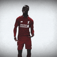 Premier League Dance GIF by Liverpool FC