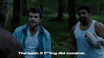 The Bear What GIF by Cocaine Bear