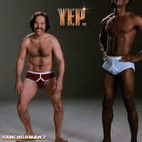 paul rudd smiling GIF by Anchorman Movie