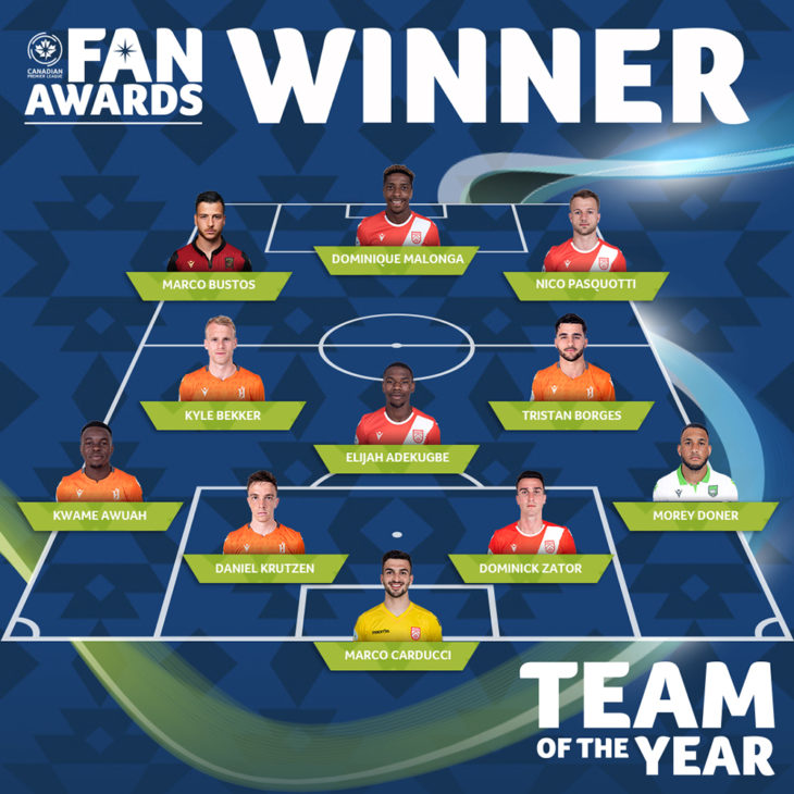 Web-TOTY-Winner copy